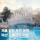 덕산온천관광단지 | 덕산 스플라스 리솜 온천 워터파크 예산 겨울 여행지 추천