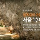 능안길 이미지