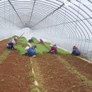 창대농장 이미지