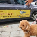 오류동물병원 이미지