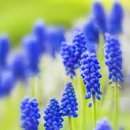 물푸레6단지도서관 이미지