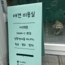 멍블리즈 이미지