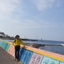 금성리 농로 1 | 제주 올레길 15-B코스