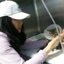 더푸른의원 이미지