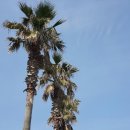 (주)영원 이미지