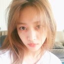 헤어선 뉴스엔