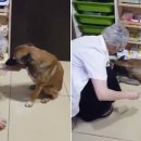 다해약국 이미지