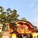 [오사카 4박 5일] Day3 | 교토 버스투어(아라시야마,금각사,청수사,여우신사) 도톤보리 야식투어...