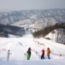 3.4당구장 | 오크밸리 스키장: 이용요금, 할인 정보 및 리뷰