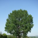 공릉천자전거도로변 이미지