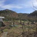 참새골농장 이미지