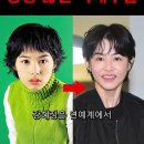 잘못된 성형수술로 사라진 연예인 이미지
