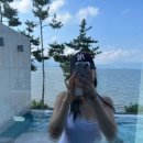 지난 8월 일상이어요