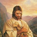 예수 이미지