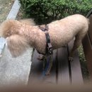 몽몽이 미용실 이미지