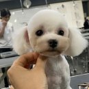 슬기로운미용생활