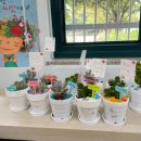 야간)꽃과 원예 이미지