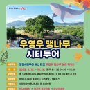 한나무투어 이미지