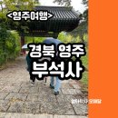 영주 부석사 소조여래좌상 | 영주 여행 아이랑 가볼만한 곳 - 단풍이 멋진 영주부석사