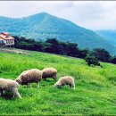 청명목장 이미지