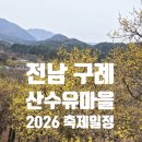 구례의길(남도이순신길) | 전남 구례 산수유마을 2026 산수유꽃 축제 일정