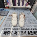 대전운동화가방 세탁공장 | 명품 로저비비에운동화 세탁 가죽소재 얼룩저거 스크레치 염색 복원 및 관리방법