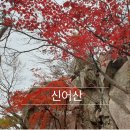 활천삼거리 김해방향 | 김해 신어산 등산 코스 소요시간 캠핑장 은하사 편의시설 후기