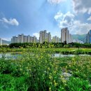 남천동로 이미지