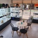 드림독 강아지분양 안심분양센터 인천점 이미지