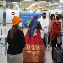 제주 246 이미지