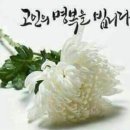 김해연운영위원님 빙모상 알림 이미지