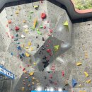 용마청과 | 2023 IFSC 서울 스포츠클라이밍 월드컵 양일 관람 후기