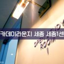 아름동(보듬로) 이미지