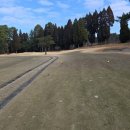 가진 | 가고시마 골프장 사쿠라지마 뷰를 가진 국제cc 솔직한 후기