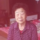 대송면행정복지센터 Daum카페