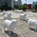 고양어울림누리 꽃메야외극장 이미지