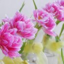 커피 레시피 이미지