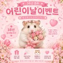 전주 햄스터 이미지