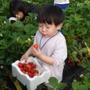 부여서울 이미지