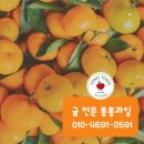오너라하우스
