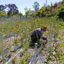 수양목장 이미지