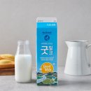 노브랜드 앞 티스토리