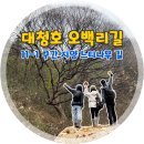 말티고개 신동삼거리1(좌측) | [대청호 오백리 길] 11-1구간 첫눈과 함께한 지양느티나무길