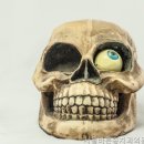 서울바른송치과의원 네이버블로그