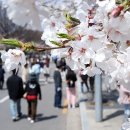 서울의 봄 이미지