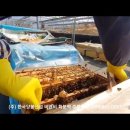 한국양봉산업 - 화분떡 특가판매 이미지