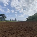 하늘닿은농장 이미지