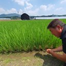 옥촌2리경로당 이미지