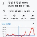 신대리 Daum카페
