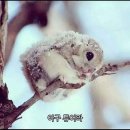 판교원로 이미지